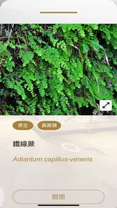 智慧觀臺博 NTM Smart + screenshot 2