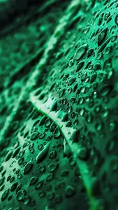 Nature Wallpaper Collection screenshot 19