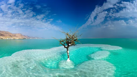 Nature Wallpaper Collection screenshot 8