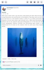 OasisIsle Social Network screenshot 6