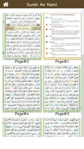 Surah An Naml (سورة النمل) Col screenshot 4