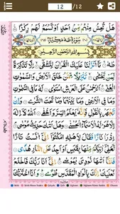 Surah Maryam (سورة مريم) Color screenshot 2