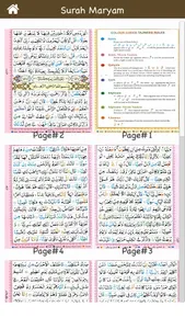 Surah Maryam (سورة مريم) Color screenshot 3