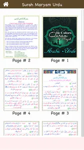 Surah Maryam (سورة مريم) with  screenshot 10