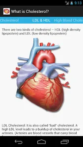 Cholesterol Guide screenshot 2
