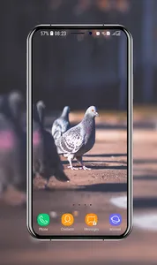 Pigeon Wallpapers screenshot 10