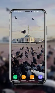 Pigeon Wallpapers screenshot 4