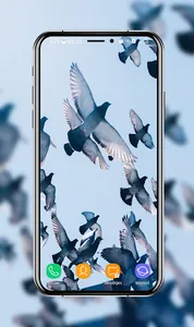 Pigeon Wallpapers screenshot 9