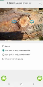 Сосна клас якості screenshot 0