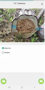 Сосна клас якості screenshot 1