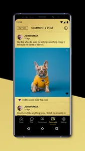 Poly Us screenshot 3