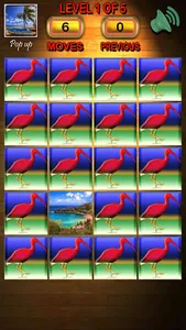 Trinbago Pairs screenshot 2