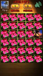 Trinbago Pairs screenshot 3