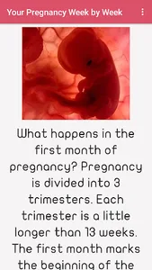 Pregnancy Week by Week screenshot 3