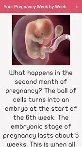 Pregnancy Week by Week screenshot 4