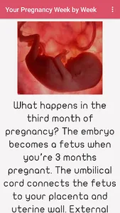 Pregnancy Week by Week screenshot 5