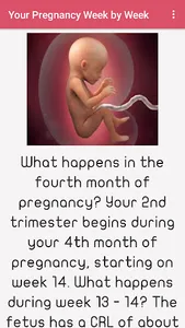 Pregnancy Week by Week screenshot 6