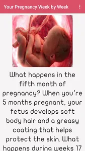 Pregnancy Week by Week screenshot 7