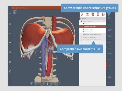 Primal's 3D Abdomen screenshot 5