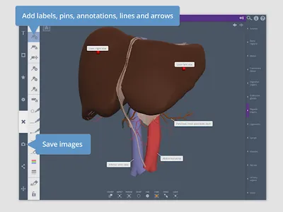 Primal's 3D Abdomen screenshot 7