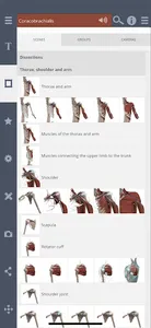 Primal's 3D Shoulder & Arm screenshot 1