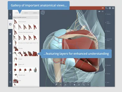 Primal's 3D Shoulder & Arm screenshot 6