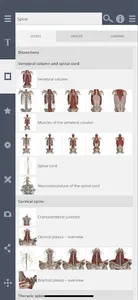 Primal's 3D Spine screenshot 1