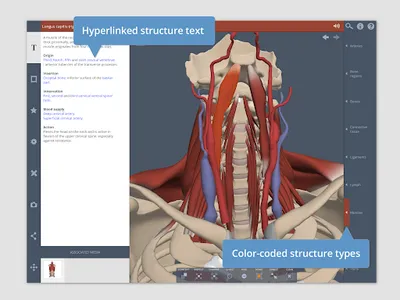 Primal's 3D Spine screenshot 13
