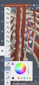 Primal's 3D Spine screenshot 3