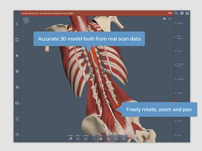 Primal's 3D Spine screenshot 9