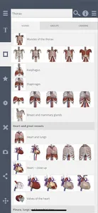 Primal's 3D Thorax screenshot 1