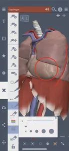 Primal's 3D Thorax screenshot 2