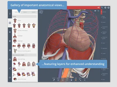 Primal's 3D Thorax screenshot 6