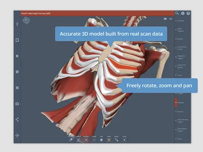 Primal's 3D Thorax screenshot 9