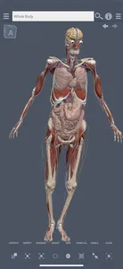 Primal's 3D Whole body screenshot 0