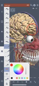 Primal's 3D Whole body screenshot 2