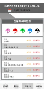 더 경마 screenshot 7