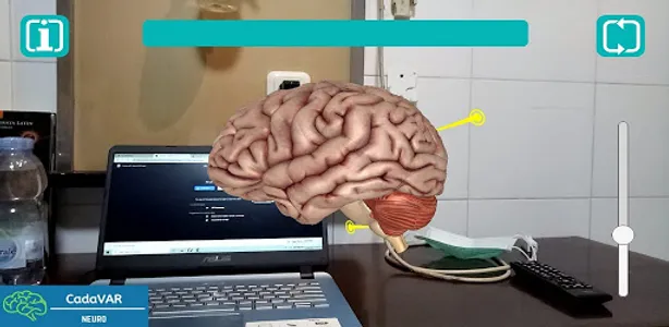 CadaVAR Neuro (XR) screenshot 2