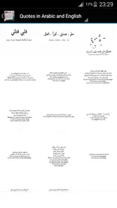 Arabic Quotes with English tra screenshot 1