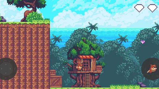 The raccoon's island screenshot 0