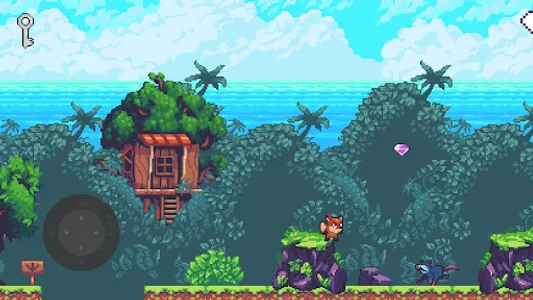The raccoon's island screenshot 3