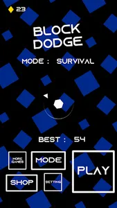BLOCK DODGE screenshot 0