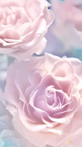 Rose Live Wallpaper screenshot 3