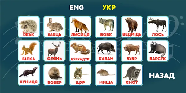 Англійські картки для дітей Вч screenshot 6