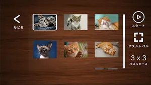 SpeedPuzzle screenshot 1