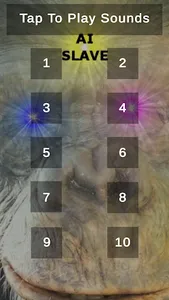 Ape Sounds screenshot 1