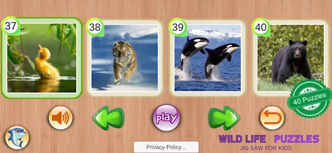 Wild Life Puzzles Toddler screenshot 4