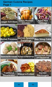 100 German Food Recipes screenshot 12