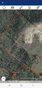 Bergkvist Siljan Skog screenshot 2