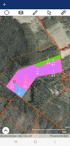 Bergkvist Siljan Skog screenshot 3